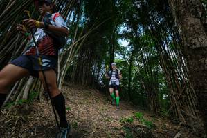 BIB: 
                            <button type="button" onclick="openModal(19395667)" class="btn btn-primary btn-sm float-right btn-popup" data-toggle="modal" data-target=".modal-high-quality">
                        <i class="fas fa-shopping-cart"></i> Add to Cart
                    </button>
                                            <button type="button" onclick="isThisMe(19395667, true)" class="btn btn-success btn-sm float-right btn-popup btn-isme hidden" data-toggle="tooltip" data-placement="bottom" title="นี่คือรูปของคุณใช่ไหม คลิกที่นี่เพื่อเอาเข้าอัลบั้ม">
                        <i class="fas fa-plus"></i> Add to album
                    </button>
                    <button type="button" onclick="isThisMe(19395667, false)" class="btn btn-warning btn-sm float-right btn-popup btn-isnotme hidden">
                        <i class="fas fa-ban"></i> Remove from album
                    </button>